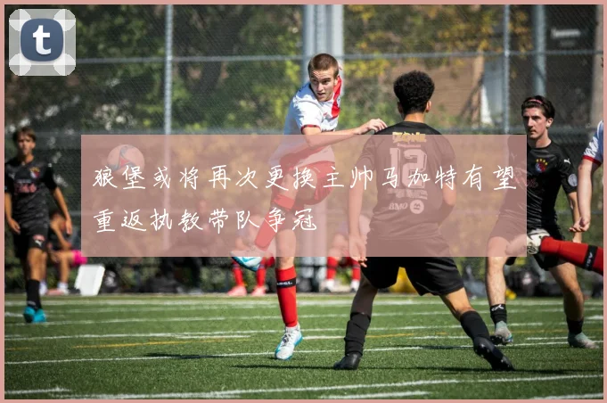 狼堡或将再次更换主帅马加特有望重返执教带队争冠